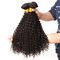 Nenhum Weave não processado encaracolado perverso brasileiro do cabelo humano do Virgin do cabelo 100% do Afro ácido fornecedor