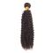 Nenhum Weave não processado encaracolado perverso brasileiro do cabelo humano do Virgin do cabelo 100% do Afro ácido fornecedor