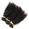 o cabelo 9A encaracolado perverso natural empacota as extensões tiradas dobro do cabelo de trama fornecedor