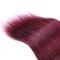 Extensões brasileiras do cabelo humano de Ombre do Weave do cabelo de Ombre do Virgin 12&quot; a 26&quot; fornecedor