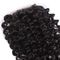 O cabelo encaracolado perverso brasileiro do Virgin do fechamento do laço 4x4 empacota para a mulher negra fornecedor