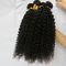 O cabelo brasileiro puro encaracolado perverso do Afro humano não processado do cabelo do Virgin empacota a cor natural fornecedor
