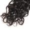 O cabelo brasileiro do Virgin da cutícula completa empacota a cor preta natural do cabelo fraco da onda fornecedor