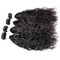 1B o cabelo humano peruano da categoria 100 empacota a cor preta dos fins consideravelmente grossos fornecedor