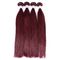 do Weave peruano brasileiro reto do cabelo humano do cabelo de 99j Borgonha trama popular do dobro da venda fornecedor