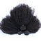 Do Virgin brasileiro perverso do cabelo encaracolado do Afro o cabelo humano empacota a cor preta natural nenhum emaranhado fornecedor