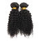 Classifique o cabelo encaracolado do Virgin dos pacotes brasileiros do cabelo 8A ondulado da moça fornecedor