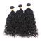Cabelo humano brasileiro não processado de onda de água 100, pacotes pretos naturais do cabelo encaracolado  fornecedor