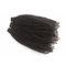 Do Virgin peruano perverso do cabelo encaracolado do Afro o cabelo humano empacota a densidade completa nenhuns piolhos nenhum emaranhado fornecedor