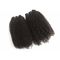 Do Virgin peruano perverso do cabelo encaracolado do Afro o cabelo humano empacota a densidade completa nenhuns piolhos nenhum emaranhado fornecedor
