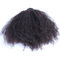 O cabelo encaracolado perverso do Afro humano peruano empacota a cor natural nenhum cheiro químico fornecedor