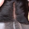 Fechamento livre do laço da peça 13x4 do malaio nenhum emaranhado com a linha natural do cabelo fornecedor