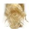 Cor encaracolado das perucas #613 da parte dianteira do laço do cabelo humano de Glueless com densidade de 130% fornecedor