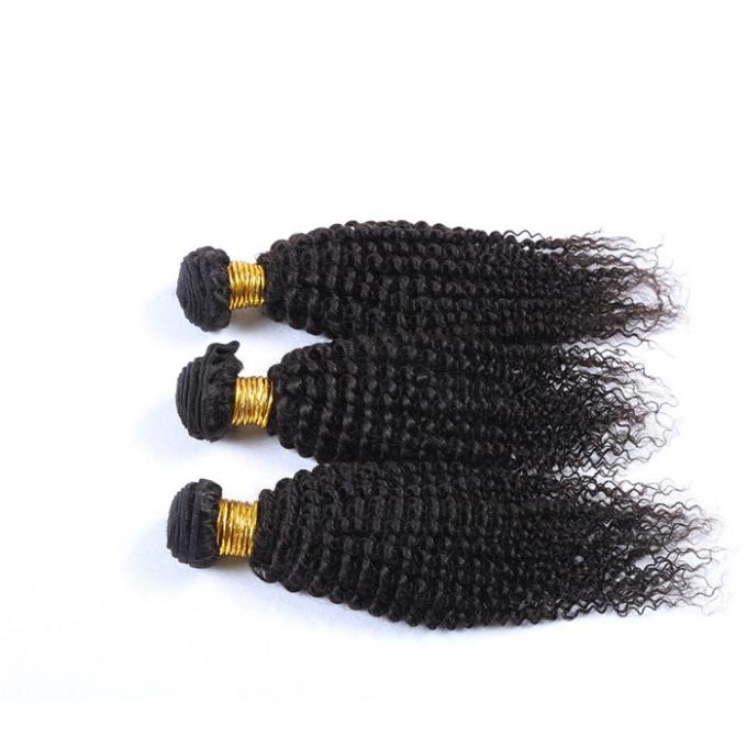 O cabelo humano brasileiro encaracolado profundo empacota a amostra grátis preta natural da cor nenhum emaranhado